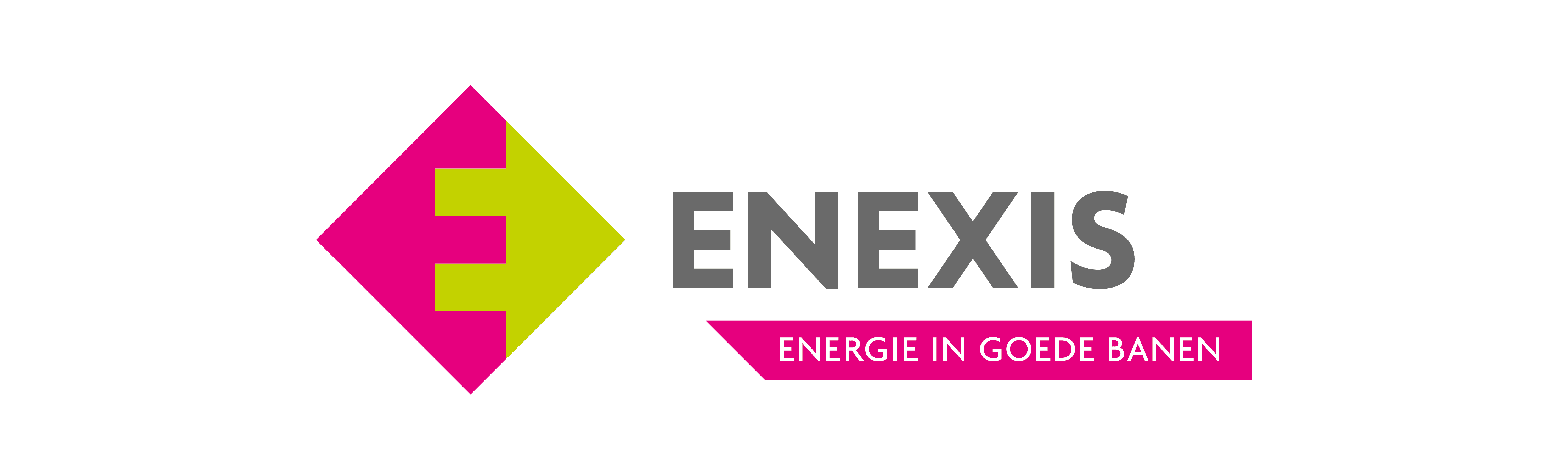 enexis logo