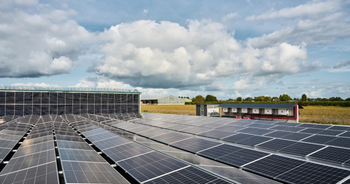 zonnepanelen