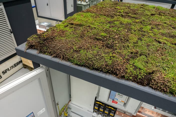 Een close-up van een groen dak bedekt met mos en kleine planten op een industrieel gebouw. Elektrische panelen en apparatuur zijn eronder zichtbaar.