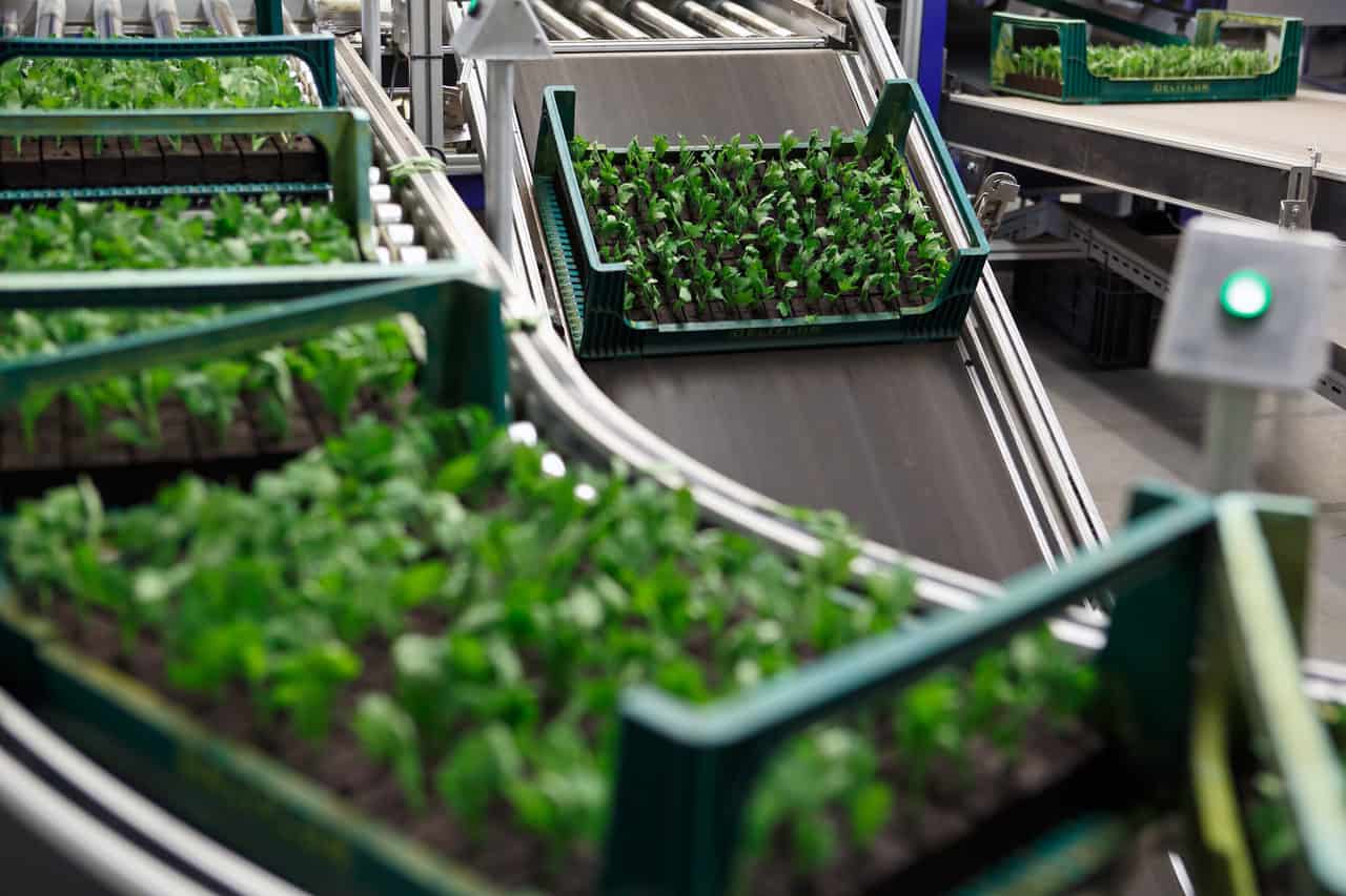 Hightech bedrijf Deliflor