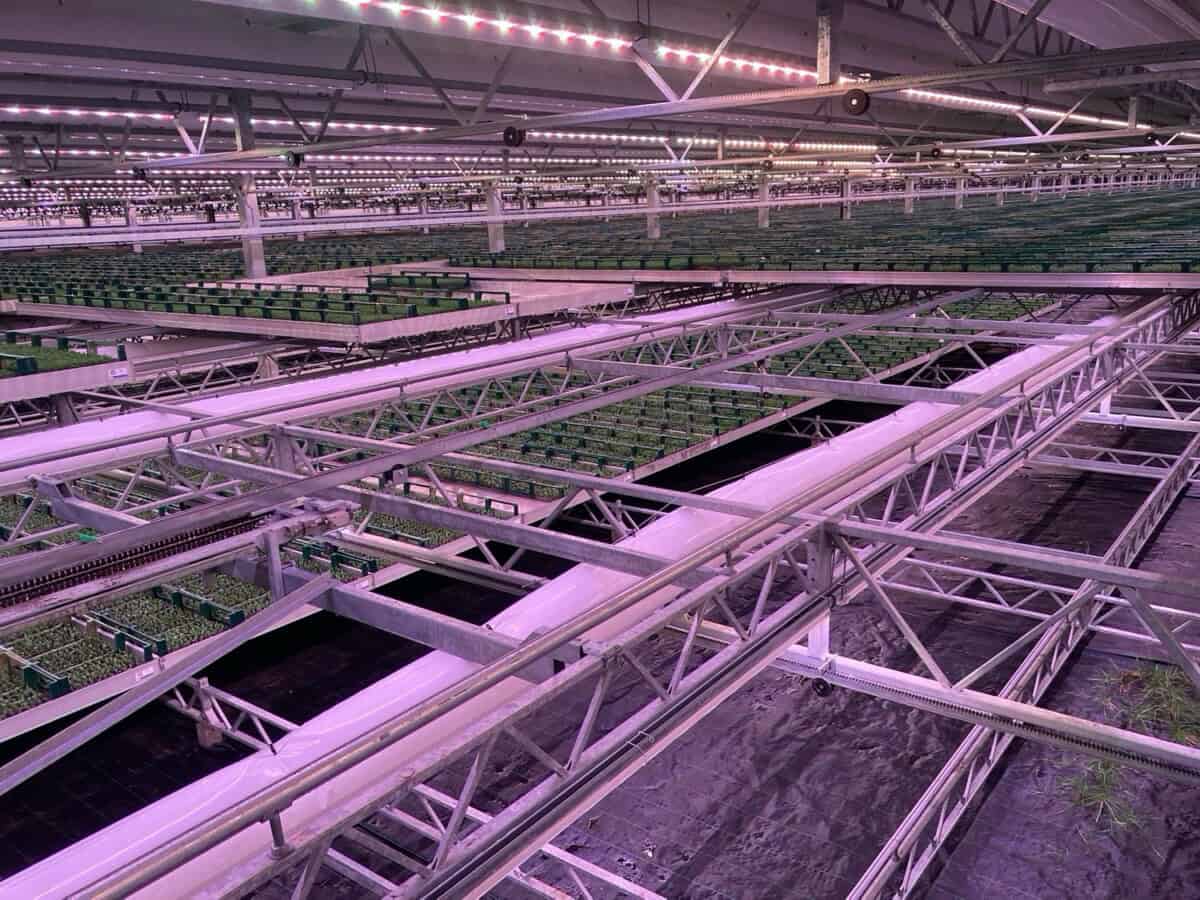 energieoplossing deliflor
