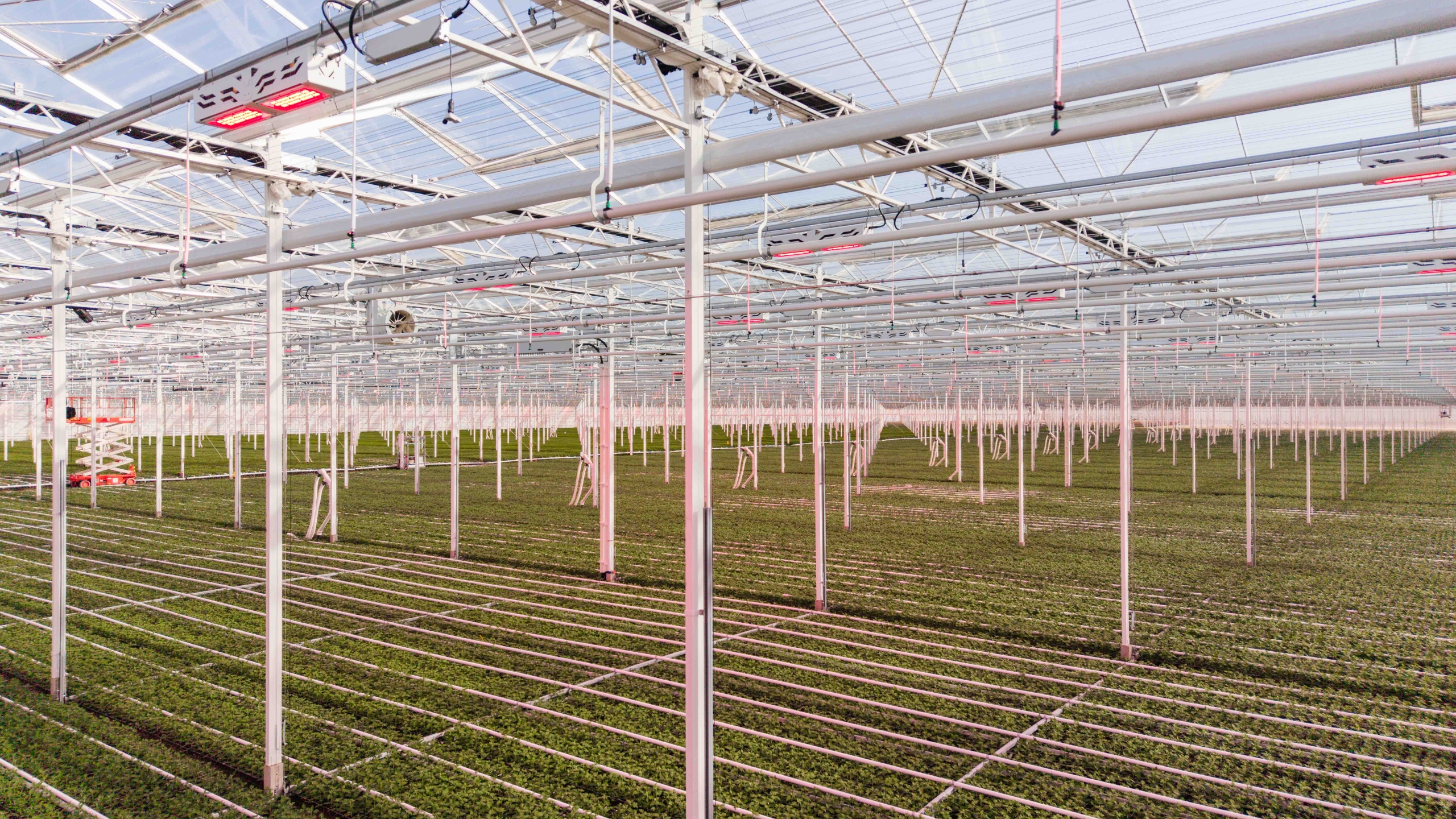 trafostation in glastuinbouw